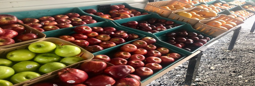 A Simple Nutrition Plan for Stroke Survivors: The 800-gram&nbsp;Challenge